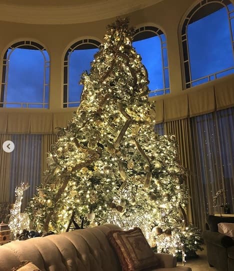 Entre las fotos que publicó durante la Navidad, compartió una 
<b><a href="https://www.univision.com/famosos/el-novio-de-britney-spears-se-cae-literalmente-de-amor-por-ella-video" target="_blank">con su novio Sam Asghari</a> </b>y ambos aparecen con un enorme árbol navideño detrás que adorna el interior de la mansión de la cantante. No se especificó el costo de éste.
<br>