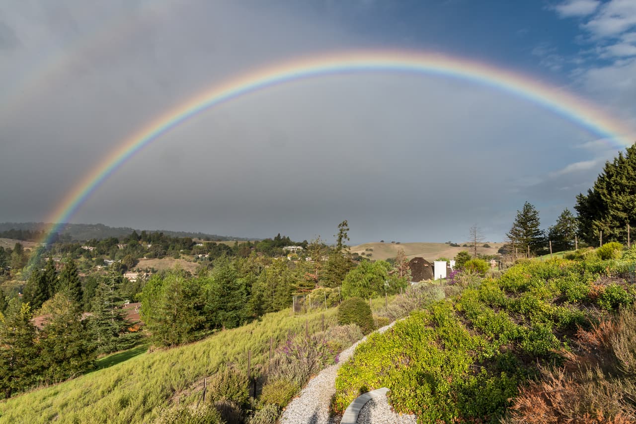 <b>Los Altos, California </b>
<br>
<br>
<i>Credit score</i> promedio de sus residentes: 784 puntos.