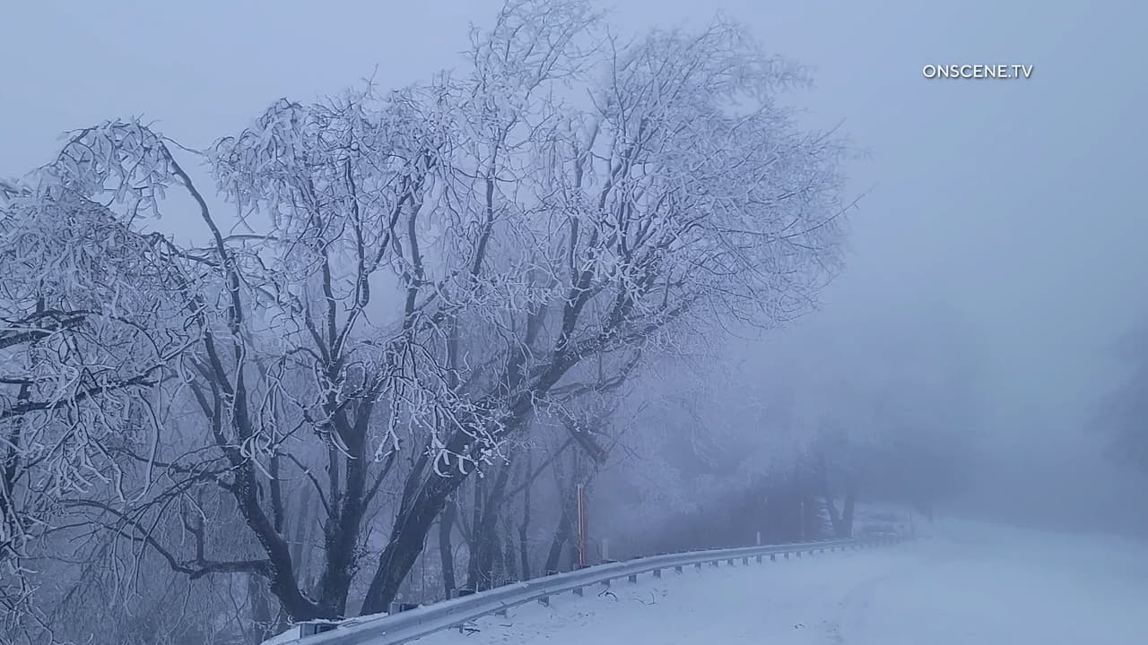 “Detrás del sistema que se localiza al norte de la región viene aire frío”, dijo la jefa de meteorología Yara Lasanta, “por esta razón las temperaturas mínimas estarán inclusive en esos 20 grados Fahrenheit”.