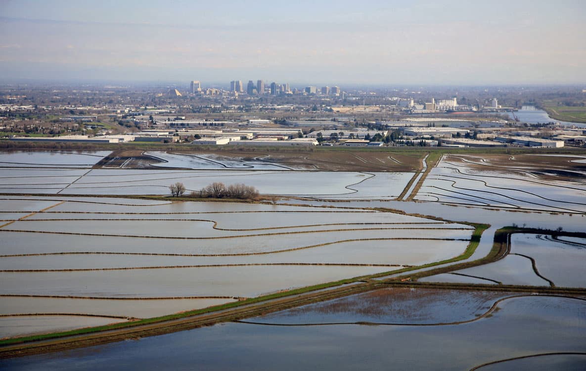 “La estructura (Sacramento Weir) sirve como un elemento clave para proteger a Sacramento de las inundaciones”, informó Jon Ericson, jefe de Hidrología del Departamento de Recursos Hídricos de California.