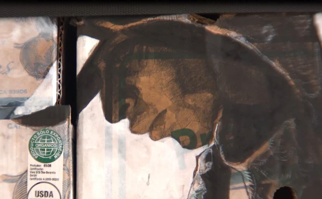 Pero su propósito de vivir en Estados Unidos era mayor que el esfuerzo que realizaba y por ello trabajó sin descanso y alternaba su labor estudiaba en la Universidad de Long Beach.