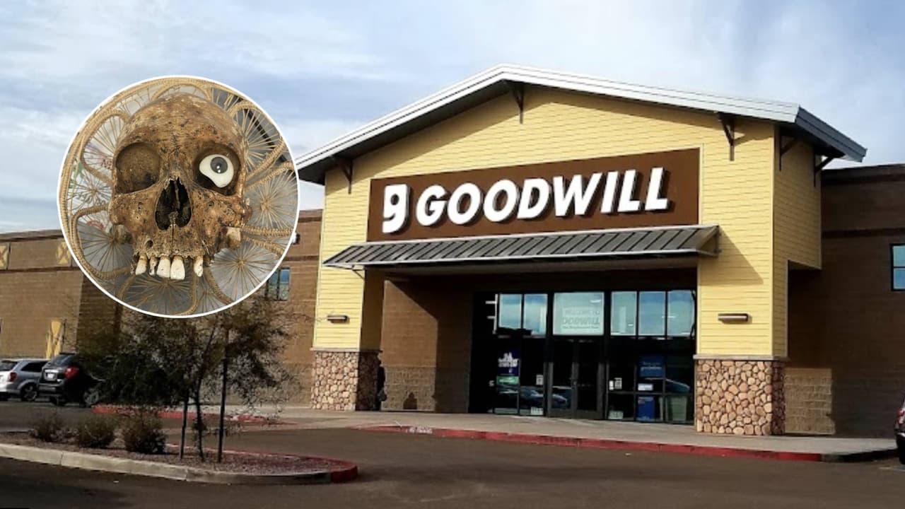 Encuentran cráneo humano dentro de una caja de artículos donados en Goodyear