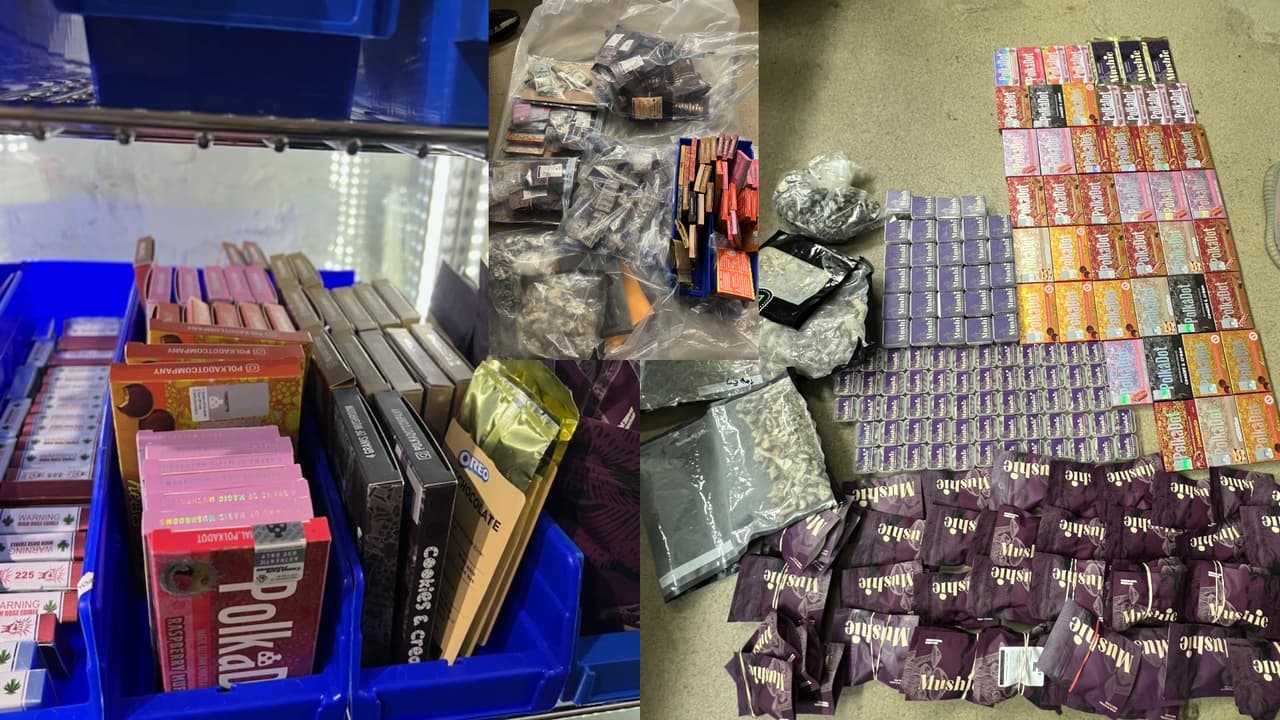 Puertas ocultas y habitaciones secretas: incautan hongos y dulces ilegales en investigación encubierta de NY