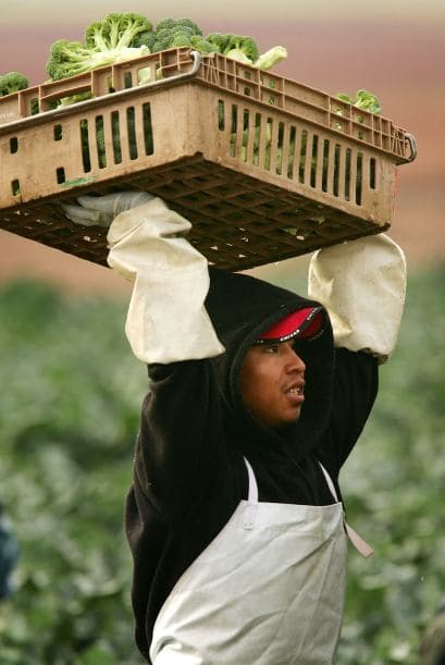 Los cinco estados con la mayor cantidad de latinos elegibles y sin seguro son: California 2.8 millones (28%), Texas 2.5 millones (24%), Florida 1.1 millones (10%), Nueva York 0.5 millones (5%), y Arizona 0.4 millones (4%).