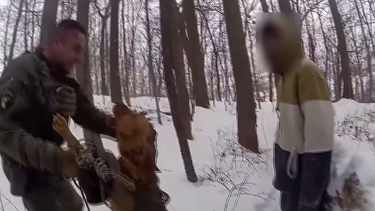 Sabueso policial rescata a menor autista perdido en la nieve en Maryland