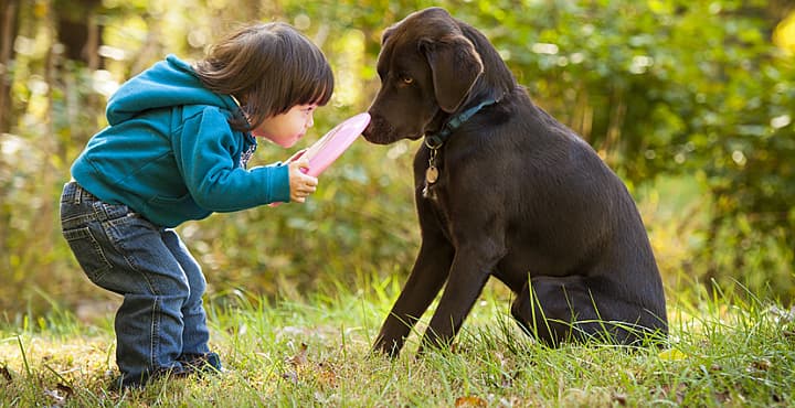 Amor a los animales: 3 películas sobre animales que debes ver con tus hijos