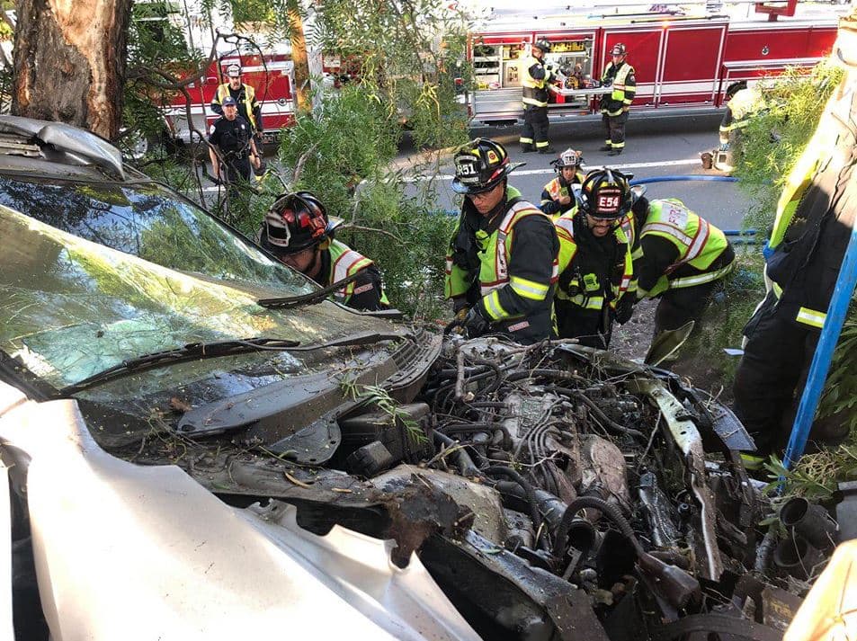 Al estrellarse con un árbol, el vehículo perdió el control y se salió de la autopista, girando e impactándose con otro árbol que detuvo el auto.