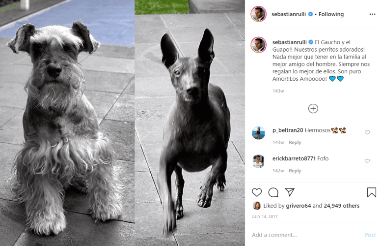 'Guapo' también resintió la partida de 'Gaucho': “Y ni hablar del Guapo... que no conoce la vida sin que estés a su lado”, escribió el actor.