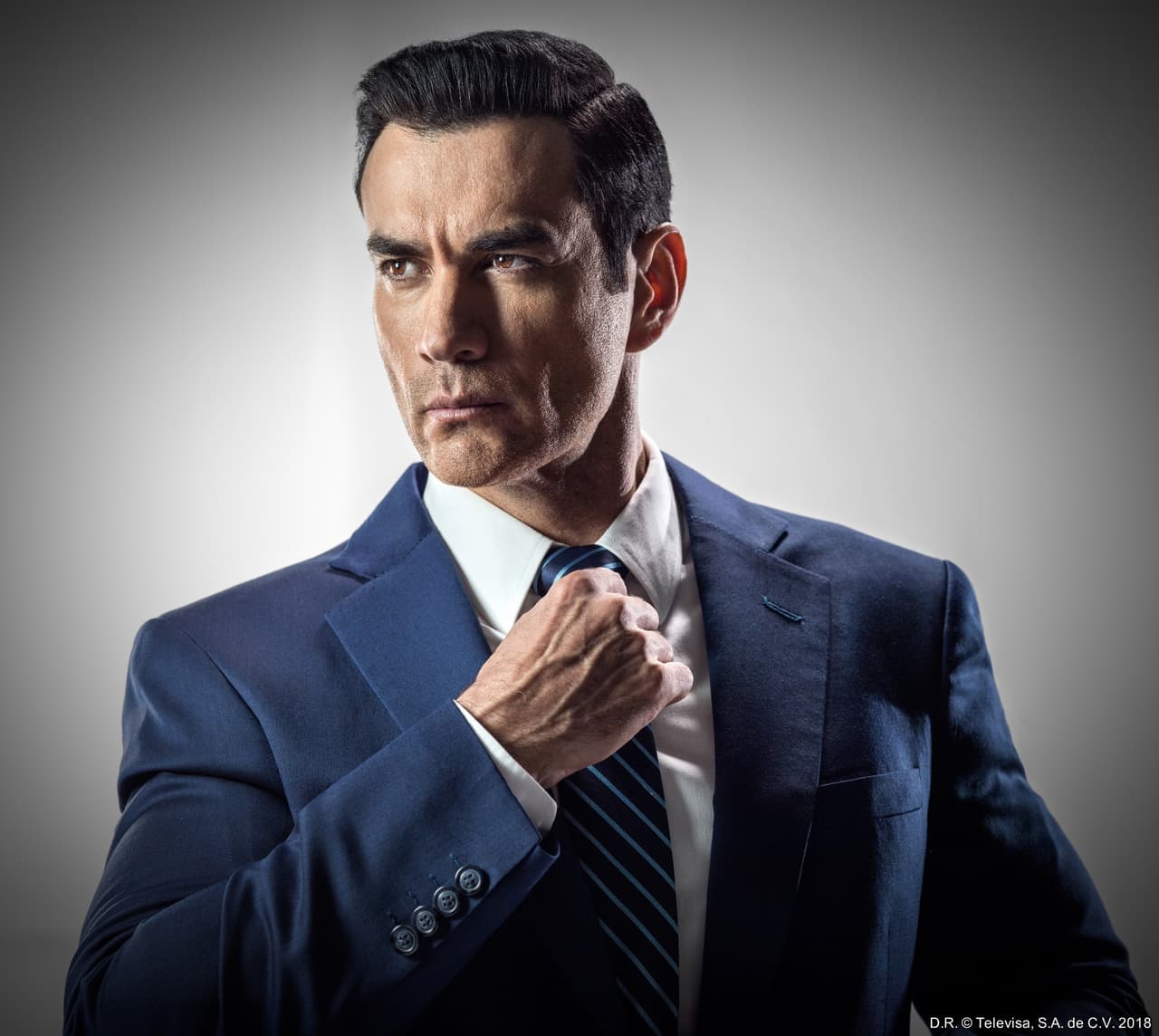 David Zepeda es Ricardo Bustamante. Abogado especialista en derecho familiar, es noble, sincero y trabajador. Socio del bufete Vega. Se guía constantemente por las leyes de la ética y el amor. Busca ayudar a los demás en lugar de pensar en sí mismo.