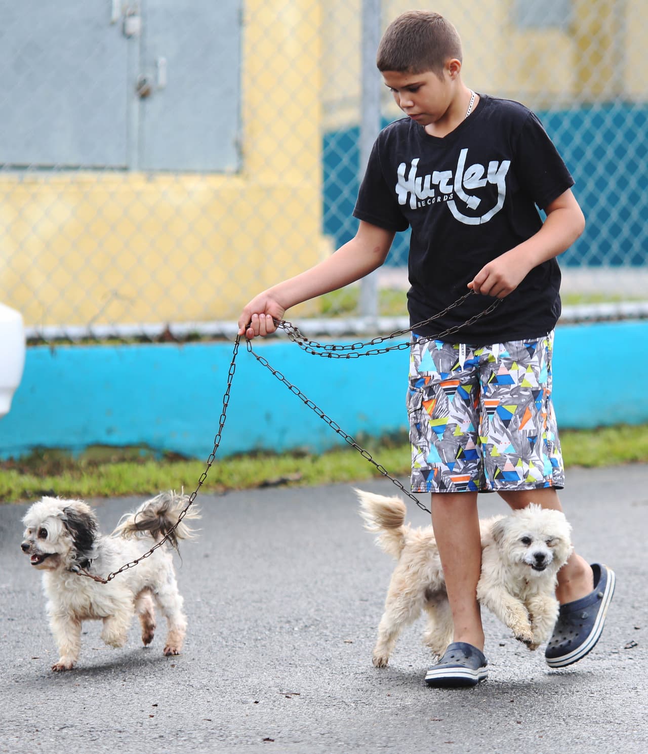 No permita que las mascotas tomen agua estancada, de charcas, ríos o quebradas que puedan estar contaminadas