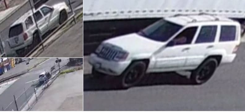 Matan a un perro a tiros en plena vía de Los Ángeles y se fugan, ahora son buscados por las autoridades