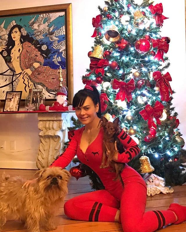 Estos peludos llevan por nombre Ratatouille y Pariño.