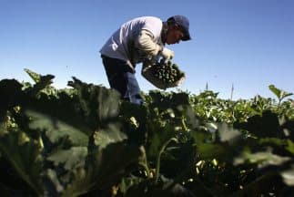 El republicano Daniel G. Stec pide a Cuomo ayudar al sector agrícola ante la crisis del coronavirus