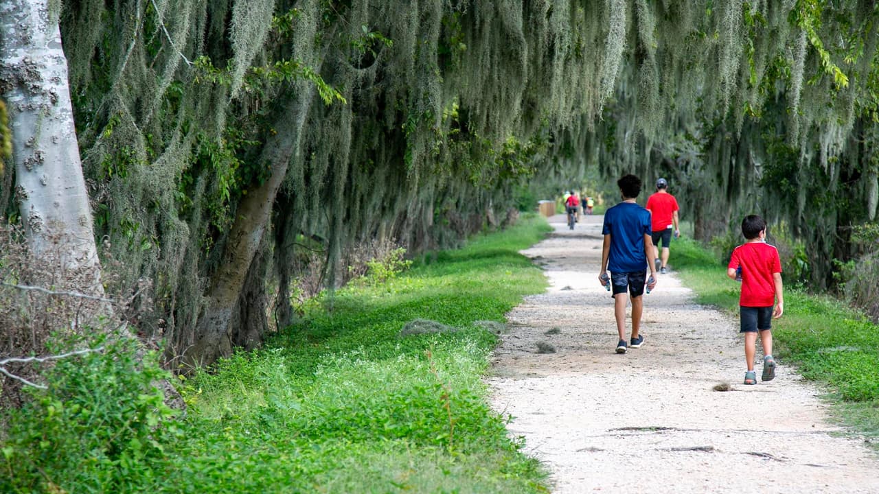 El otoño es una buena época para visitar el parque por sus agradables temperaturas, contrario al verano.