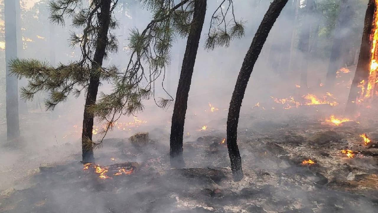 Mantienen las evacuaciones en Bosque Nacional Tonto por el Diamond Fire