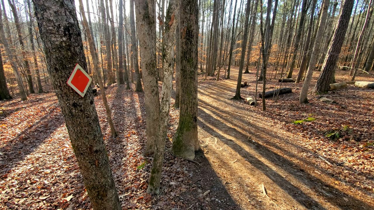 El más popular, sin duda, es el de color rojo.