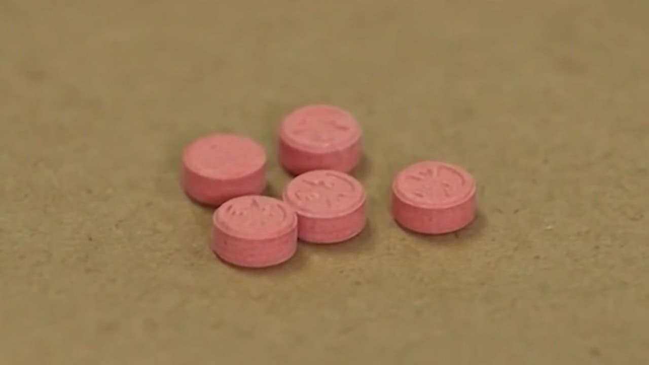 La 'droga zombie': detectan medicamento para animales que potencia efectos de sobredosis