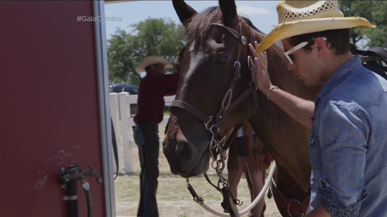 Se pusieron los sombreros.