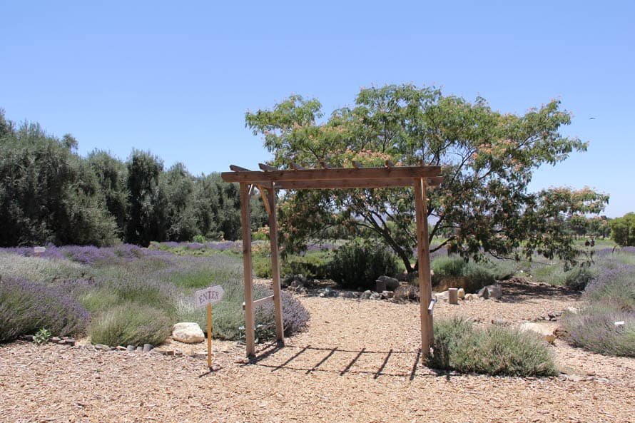 Debido a la pandemia el recorrido es guiado y un modesto marco de madera se convierte en la entrada a un jardín de múltiples hectáreas.