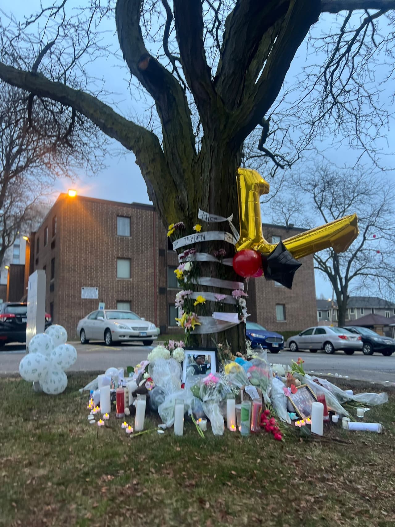 Las personas reunidas en su nombre h
<b>icieron un monumento conmemorativo en un árbol afuera de la casa</b> del niño ubicada en el 5900 al norte de la avenida Ravenswood, en el vecindario Edgewater de Chicago.
