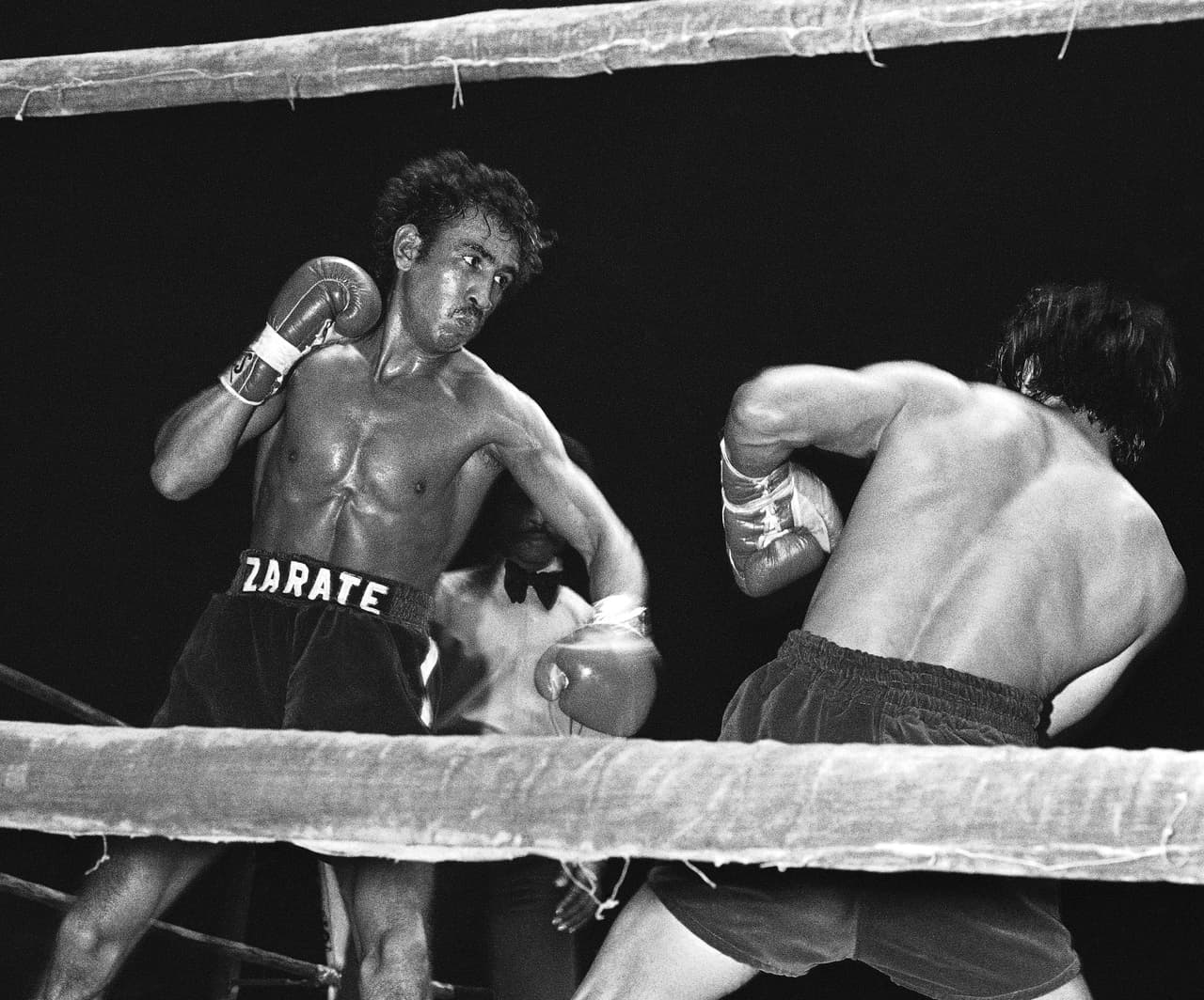<b>Carlos Zárate</b> alcanzó a defender en diez ocasiones su tÃtulo de campeón mundial de peso gallo, antes de perderlo en 1979 contra Guadalupe Pintor.