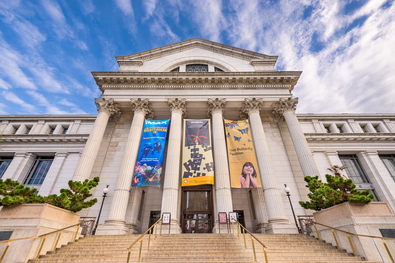 <b>Museo Smithsoniano Nacional de Historia Natural.</b> Es uno de los museos más visitados del mundo, en Washington D.C, y ofrece que sus maravillosos tesoros sean vistos en un recorrido virtual en línea. Los espectadores son bienvenidos en su rotonda y pueden hacer un recorrido "a pie" de 360 grados por todas sus exhibiciones, incluido el Salón de los Mamíferos, el Zoológico de Insectos, los dinosaurios y el Salón de la Paleobiología. 
<b><a href="https://naturalhistory.si.edu/visit/virtual-tour" target="_blank">Para recorrer este museo haga click aquí </a></b>