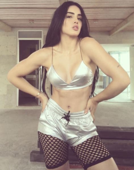 Susana Rentería fue Nuestra Belleza Guerrero en 2015, pero renunció a la corona antes de participar en el certamen nacional.