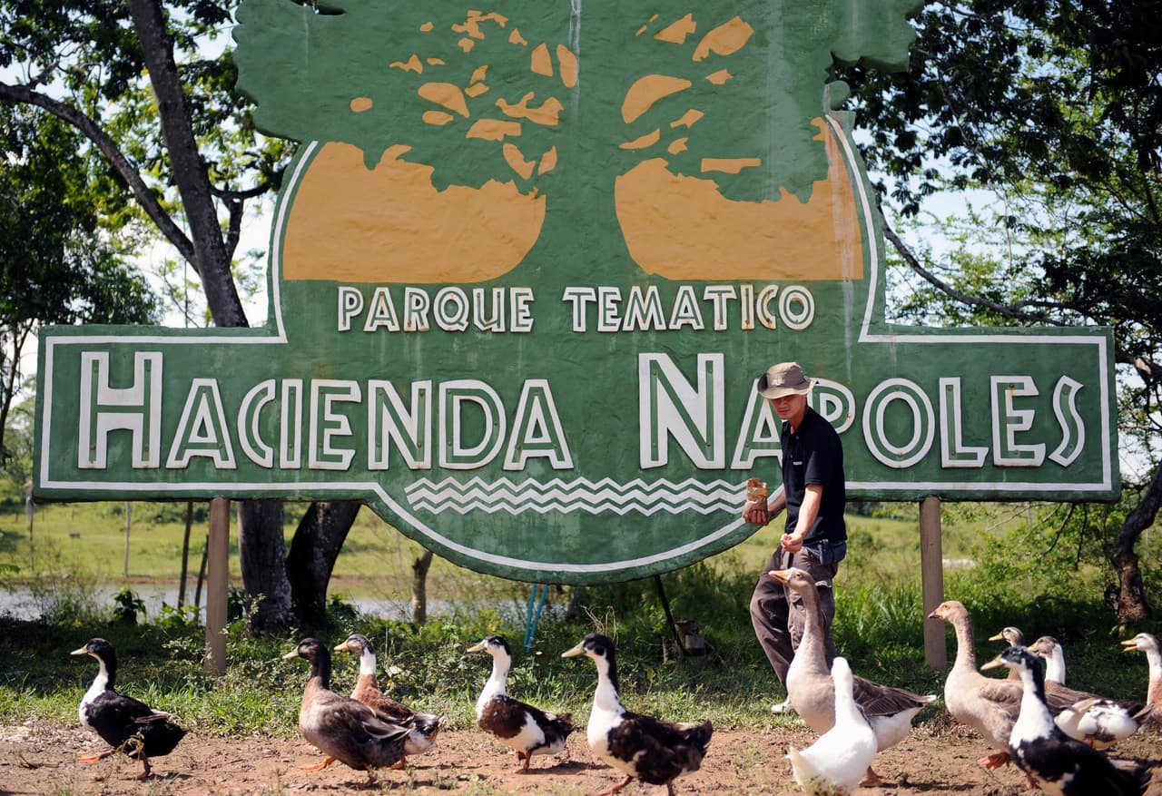 Este parque además del museo, cuenta con un zoológico, hoteles, un parque de dinosaurios y albercas para el deleite de los niños.