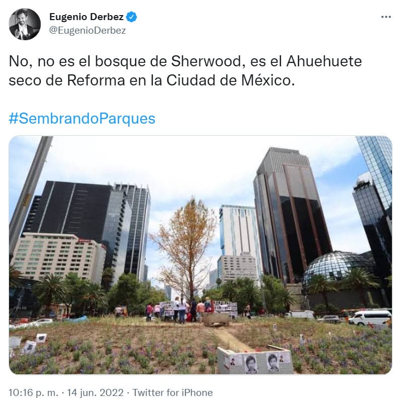 Derbez utilizó una fotografía del nuevo árbol para compararlo con el bosque de Sherwood, el cual está ubicado en Inglaterra.
<br>