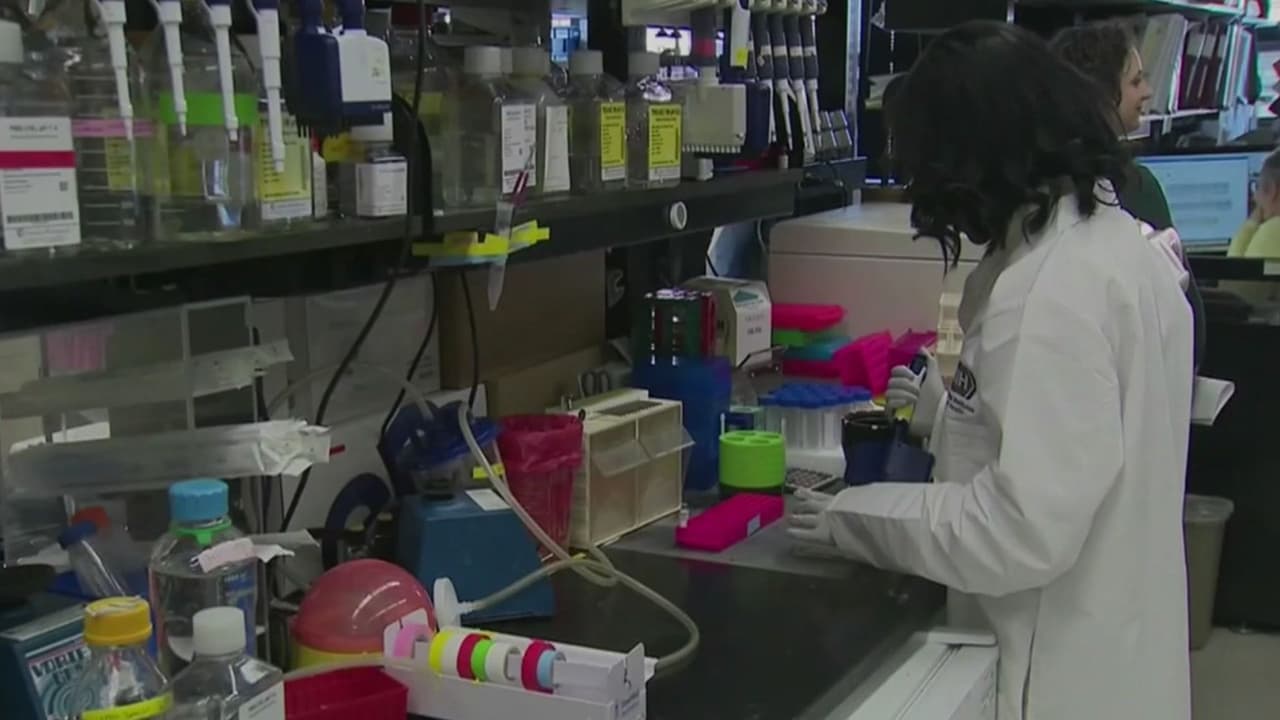 COVID repunta en California: quiénes deberían vacunarse y cómo prevenir contagios
