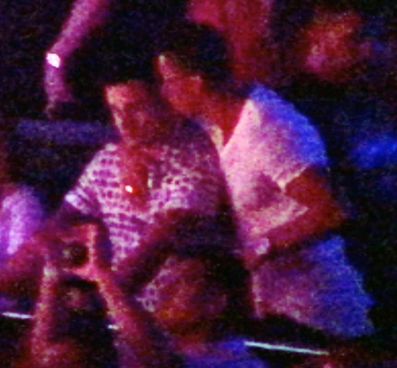 Cristiano estaba tan contento que le dio un besito a Casper.