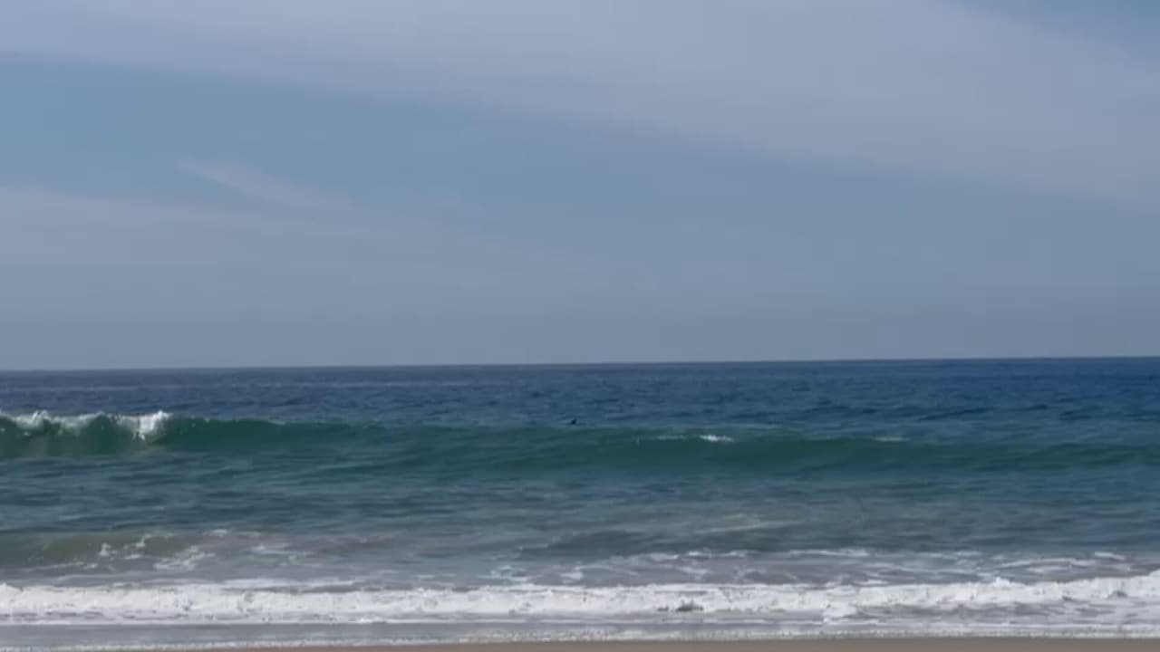 Alerta en Los Ángeles: prohíben meterse en estas 8 playas debido a los altos niveles de bacteria