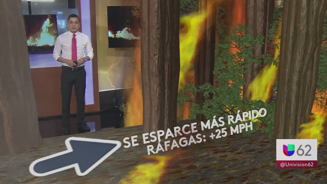 <b>¿Por qué se forman los incendios forestales?</b>
<br>
<br>Para que se registren fuegos forestales tienen que existir elementos claves como aire seco y temperaturas altas.
