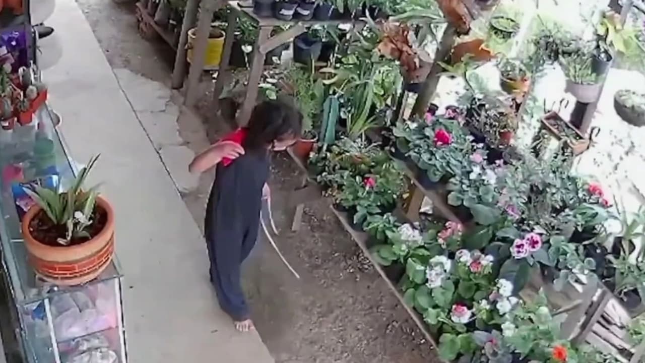 Colombia busca por aire y tierra a Michelle Dayana Chavarría, niña de 6 años con autismo y epilepsia