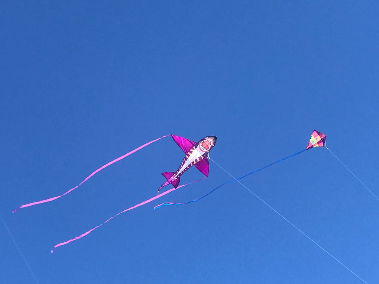 <b>Chico Kite Day</b>
<br>Domingo, 24 de marzo, desde las 12 - 4 pm
<br>Dirección: Community Park, 1900 Dr. MLK Parkway, Chico, California
<br>