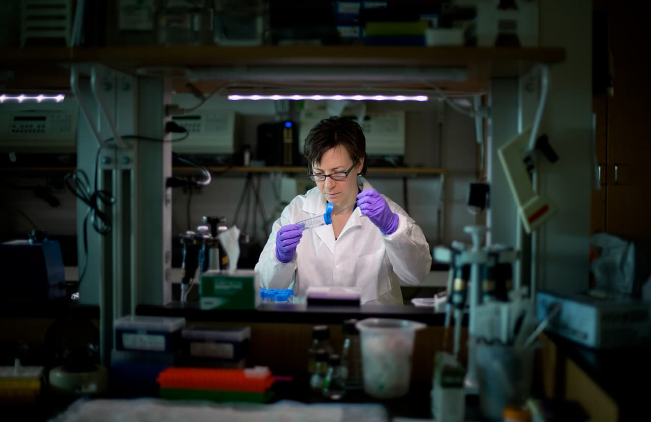 Alerta por pechugas de pollo contaminadas: ¿Qué daños causa la listeria?