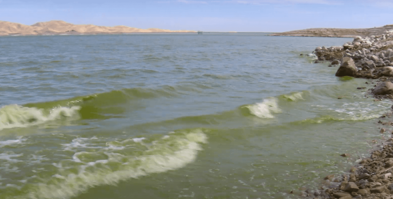 Hasta el momento estos son los lugares con alerta de peligro en el estado: Lake Isabella, en el condado de Kern en el Valle Central, Discovery Bay, at Windward Bay, al norte del estado en Clear Lake - Austin Park, Temescal Lake en el área de la Bahía de San Francisco, Big Break Regional Shoreline - Kayak Launch Area.