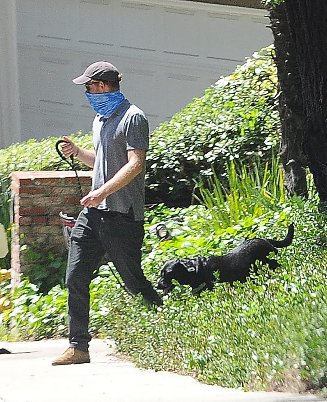 Poco después de que se casaron, los Sussex le dieron la bienvenida a Pula, que es de raza labrador. De acuerdo con el libro 'Finding Freedom', que se publicó a finales de agosto pasado, el nombre de la mascota se refiere a la moneda de Botswana, lugar donde Meghan y Harry habrían tenido su tercera cita.