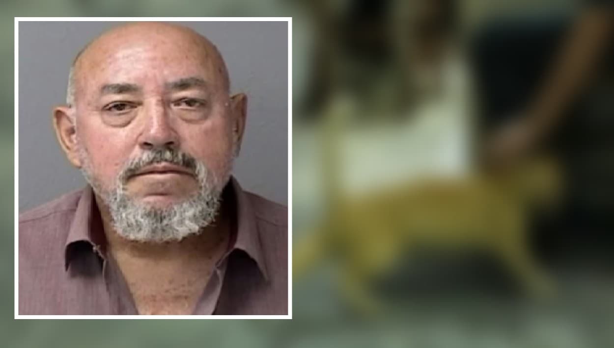 'El Power' paga fianza de $20,000 tras ser acusado de ahogar a un gato en Arecibo