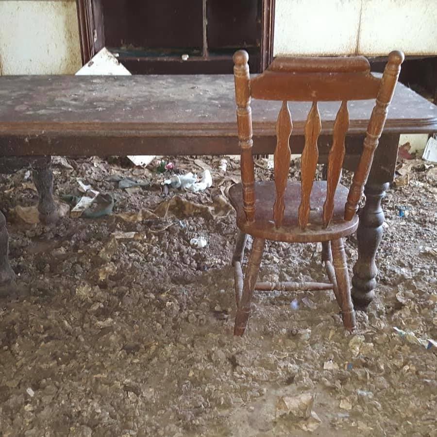 Enormes montones de heces de gato fueron encontradas en toda la casa.