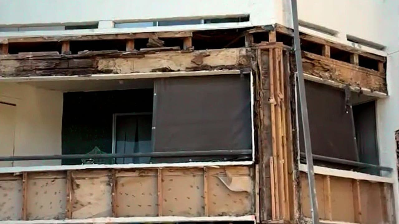 Denuncian plaga en complejo de apartamentos; representante de la ciudad responde a las preocupaciones de residentes