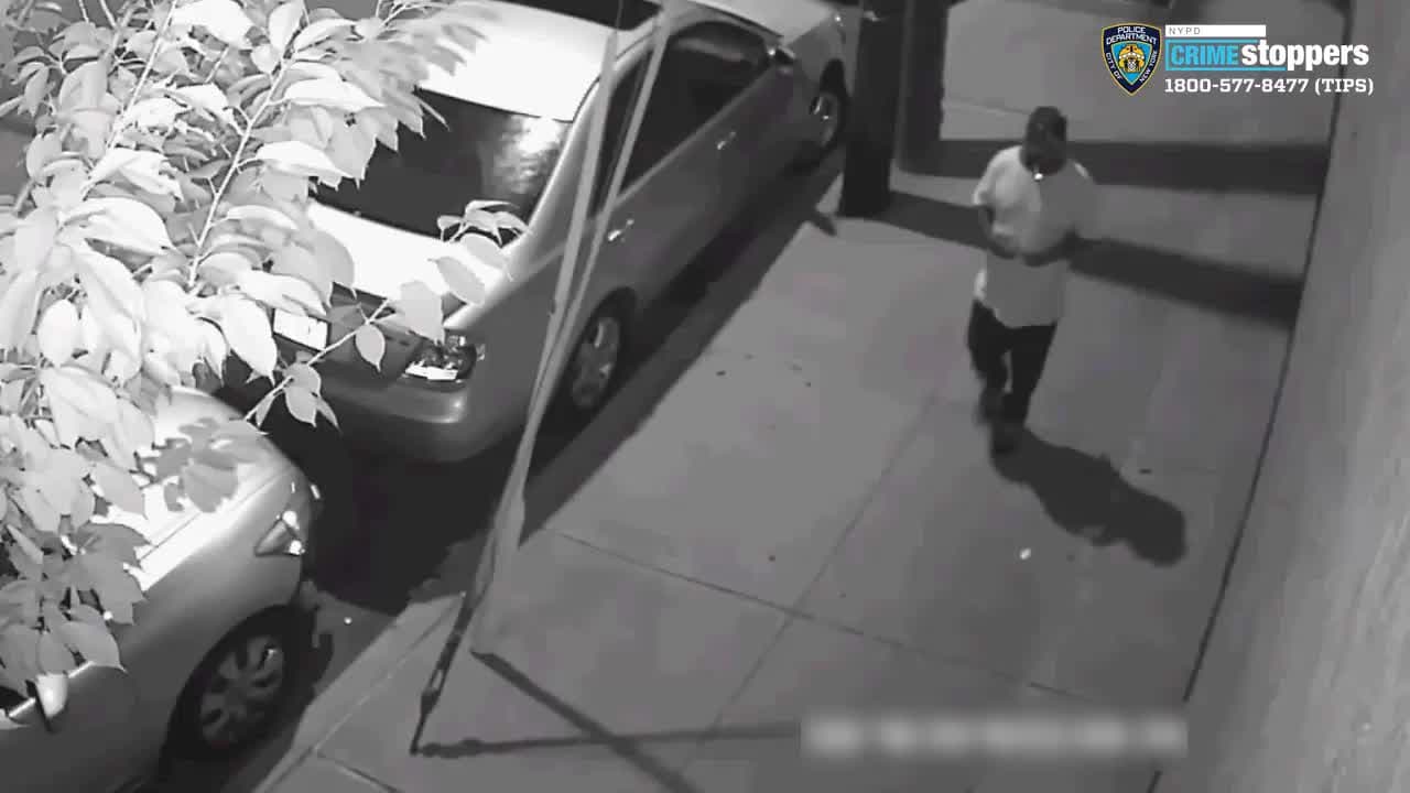 Un hombre es buscado por arrastrar a una joven debajo del puente de un tren, golpearla en la cabeza y violarla