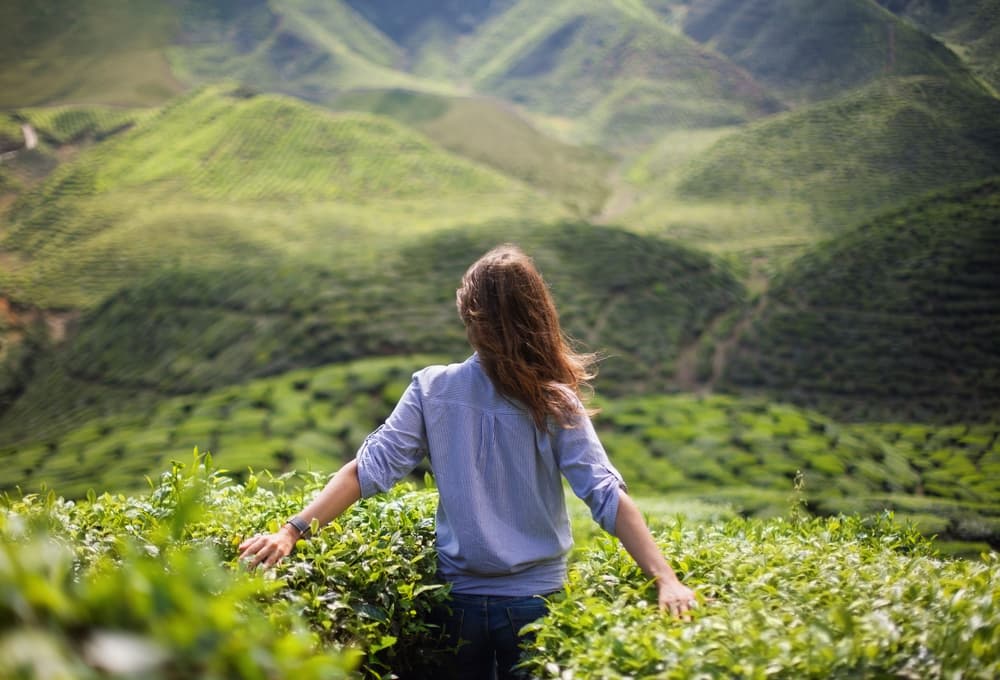 <b>Escorpión</b>
<br>En este solsticio tienes que ocuparte más de ti, así que no pongas límite en nada de lo que quieras lograr.
<br>