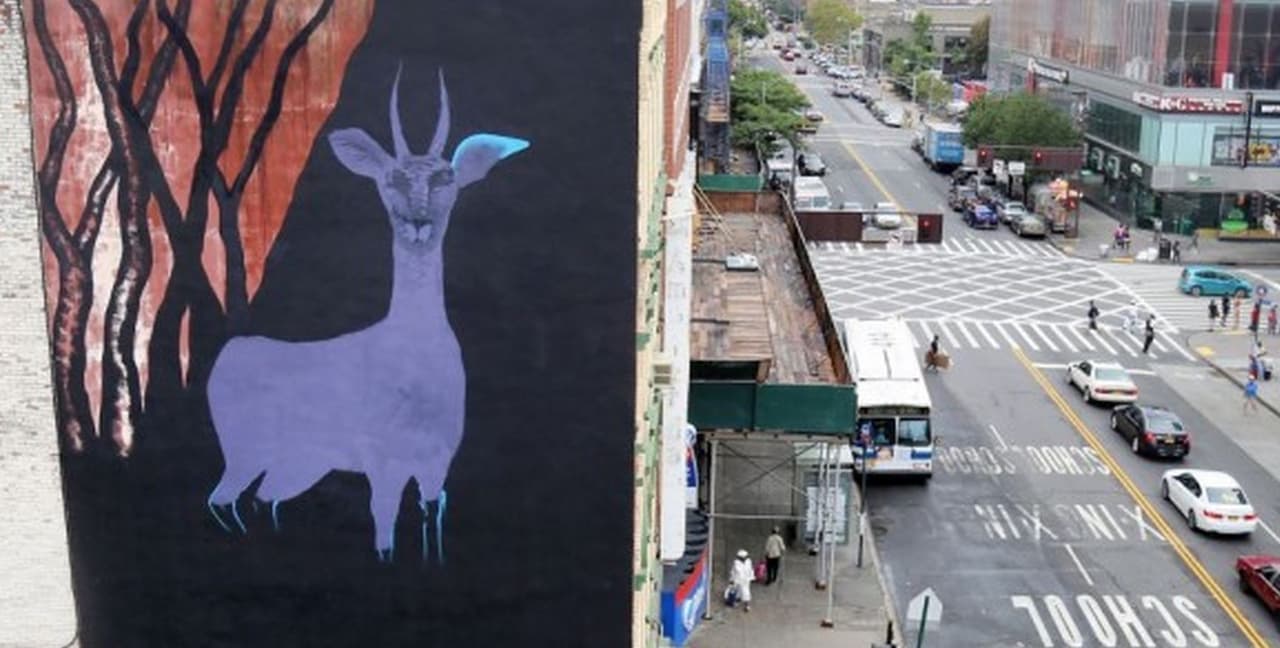 Arte callejero en Nueva York pide por derechos en Irán