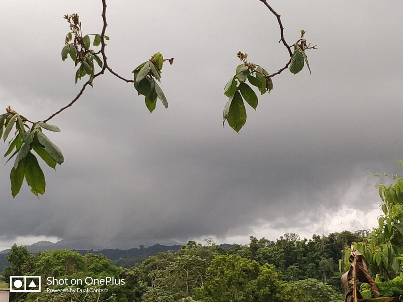 Ante la llegada del huracán Dorian, así se encuentra el municipio de Lares.