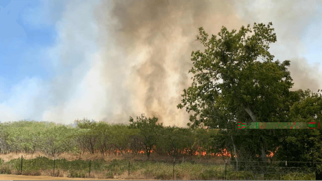 Incendio forestal en Kyle moviliza a autoridades y evacúan el área
