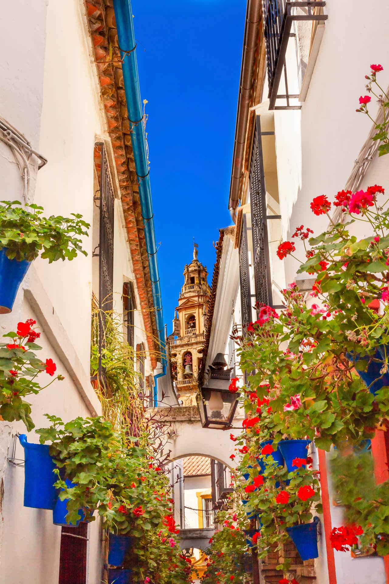 <b>Calleja de las Flores (Córdoba, España)</b>
<br>
<br>La Calleja de las Flores es una vía estrecha típica de la región de Andalucía. Entre sus muchas flores y paredes blancas encaladas, se puede apreciar el campanario de la famosa Mezquita Córdoba.
<br>
