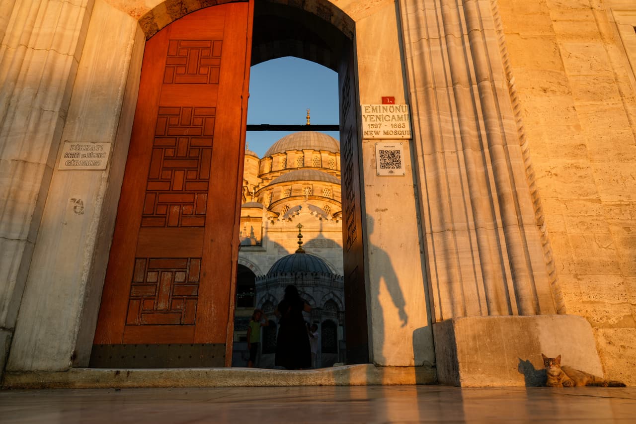 Un gato callejero se sienta frente a la histórica mezquita Yeni en el distrito de Eminönü, en Estambul, Turquía, el miércoles 24 de junio de 2026. (Foto AP/Emrah Gurel)