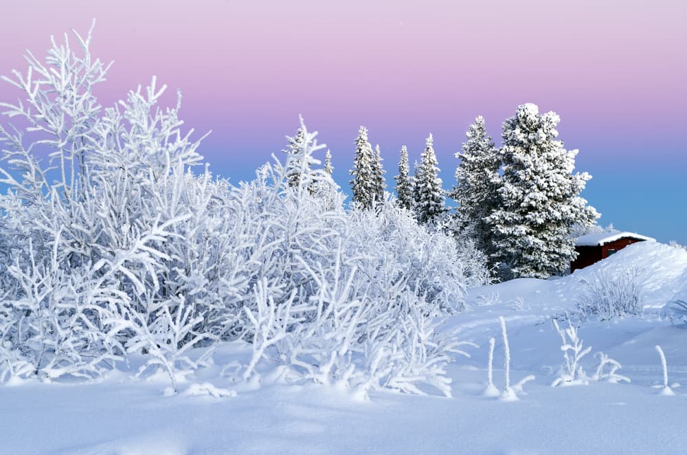 El concepto de día cúspide es muy importante conocerlo bien, es algo sencillo, pero se presta a confusión cuando en algunos horóscopos que se publican mundialmente dan como inicio de Capricornio el 21 y otros el 22.