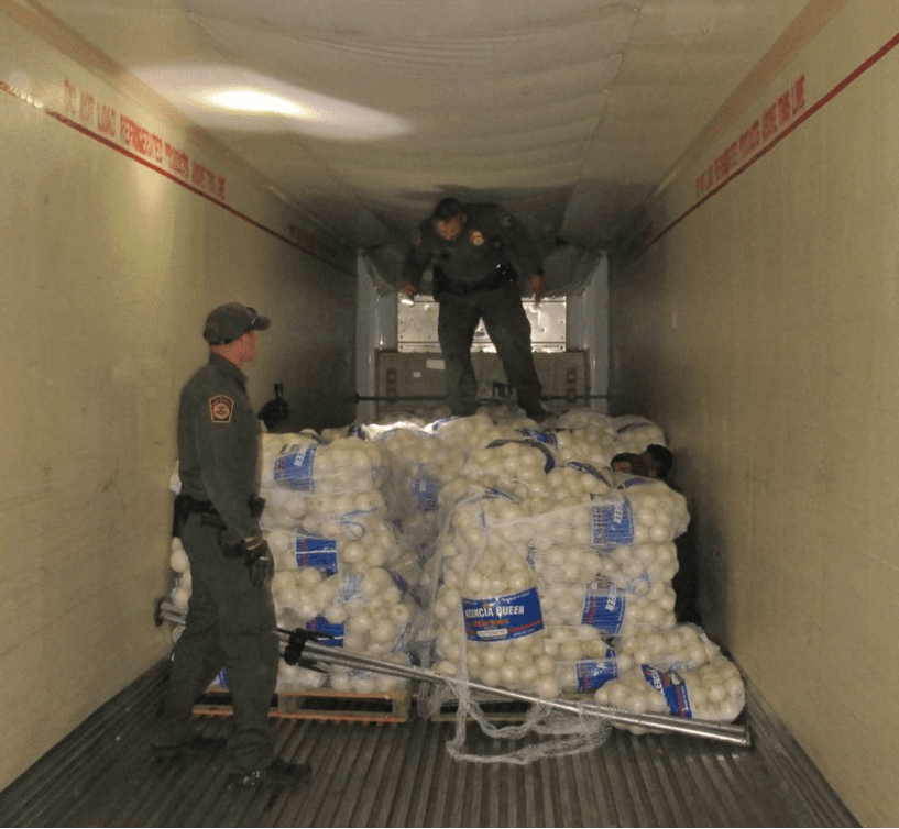 Agentes de la Patrulla Fronteriza en el punto de revisión de la autopista 281 en Falfurrias, Texas, rescataron a 14 personas que iban ocultas en un camión de 18 ruedas.